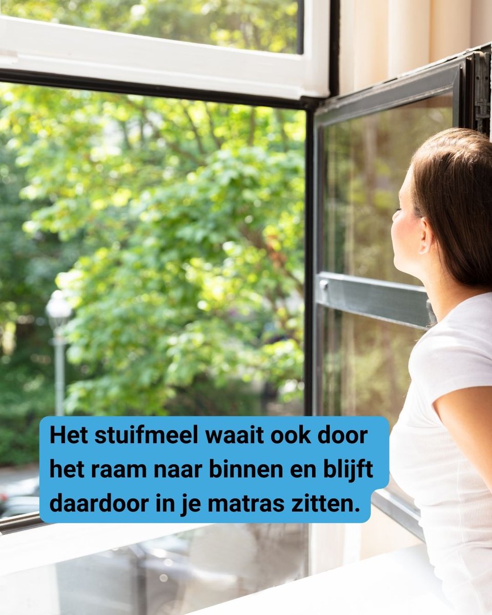 DokterBed's tweet photo. 😩 Last van hooikoorts? Op dit moment zijn het vooral pollen van de 🌳 Els, Hazelaar en Berk die voor klachten zorgen. Een wondermiddel is er (nog) niet, maar het kan helpen een zonnebril te dragen, te douchen voordat je naar bed gaat, medicatie te nemen en je matras te reinigen! https://t.co/fjSakstu1E