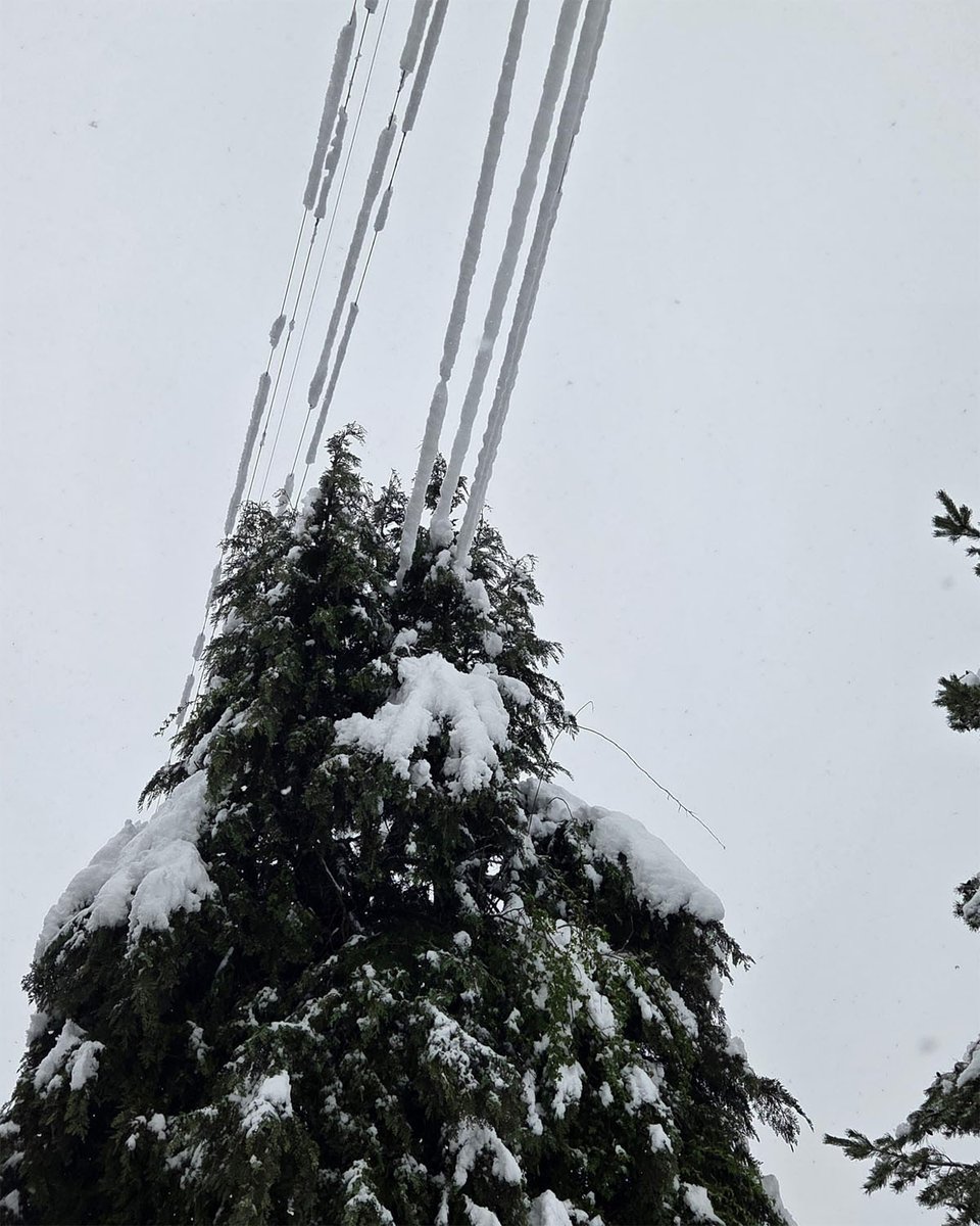Bis auf ein paar wenige Leitungen zu einzelnen Gebäuden konnten nach den Starkschneefällen am Gründonnerstag alle Anschlüsse im Verlaufe des Karfreitags wieder hergestellt werden. Aktualisierter Blog: bkw.ch/de/ueber-uns/a…