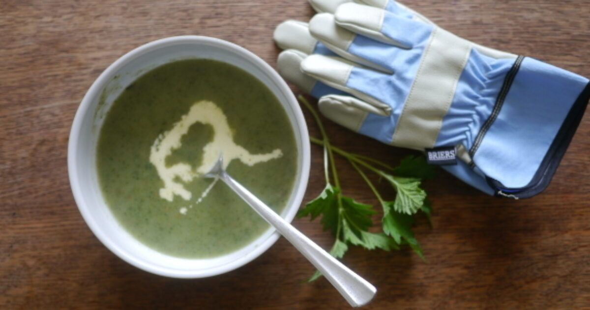 Muddyfaces's tweet photo. 💛 Easter BH weekend 💛 activity idea from our OUTDOOR HUB: make some nettle soup https://t.co/SNQOTDh2o4
#nettlesoup #springforaging https://t.co/TBHm0xRzeT