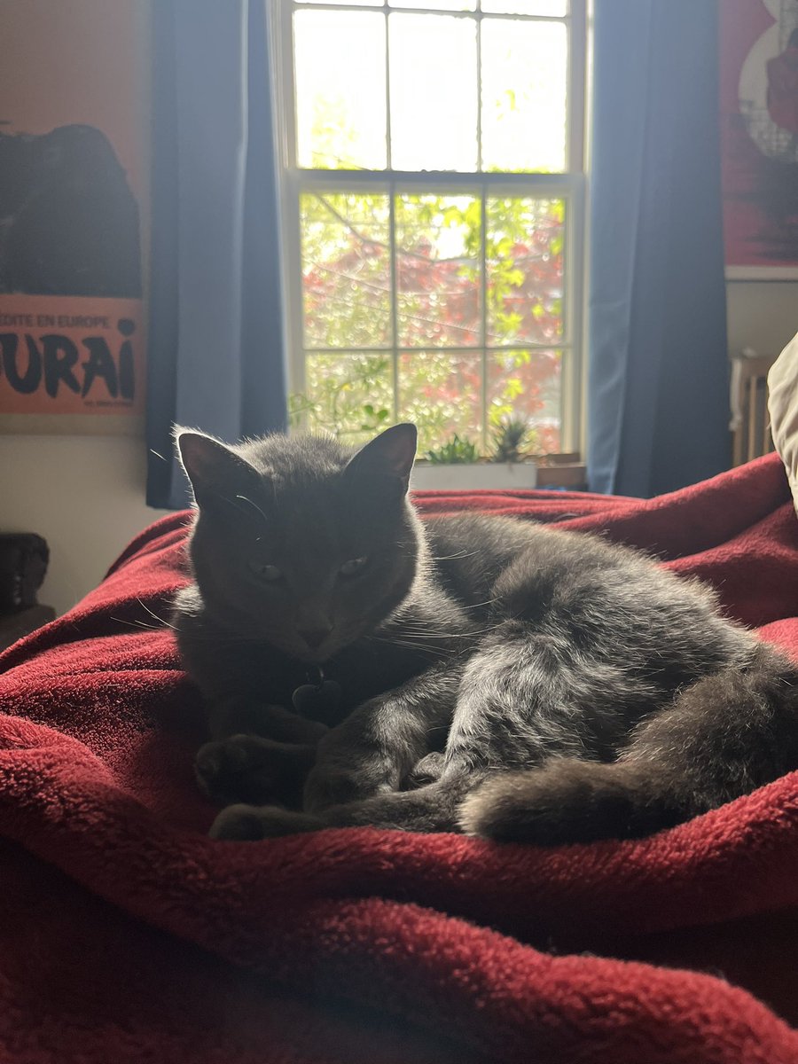 Elyse PG tweet media