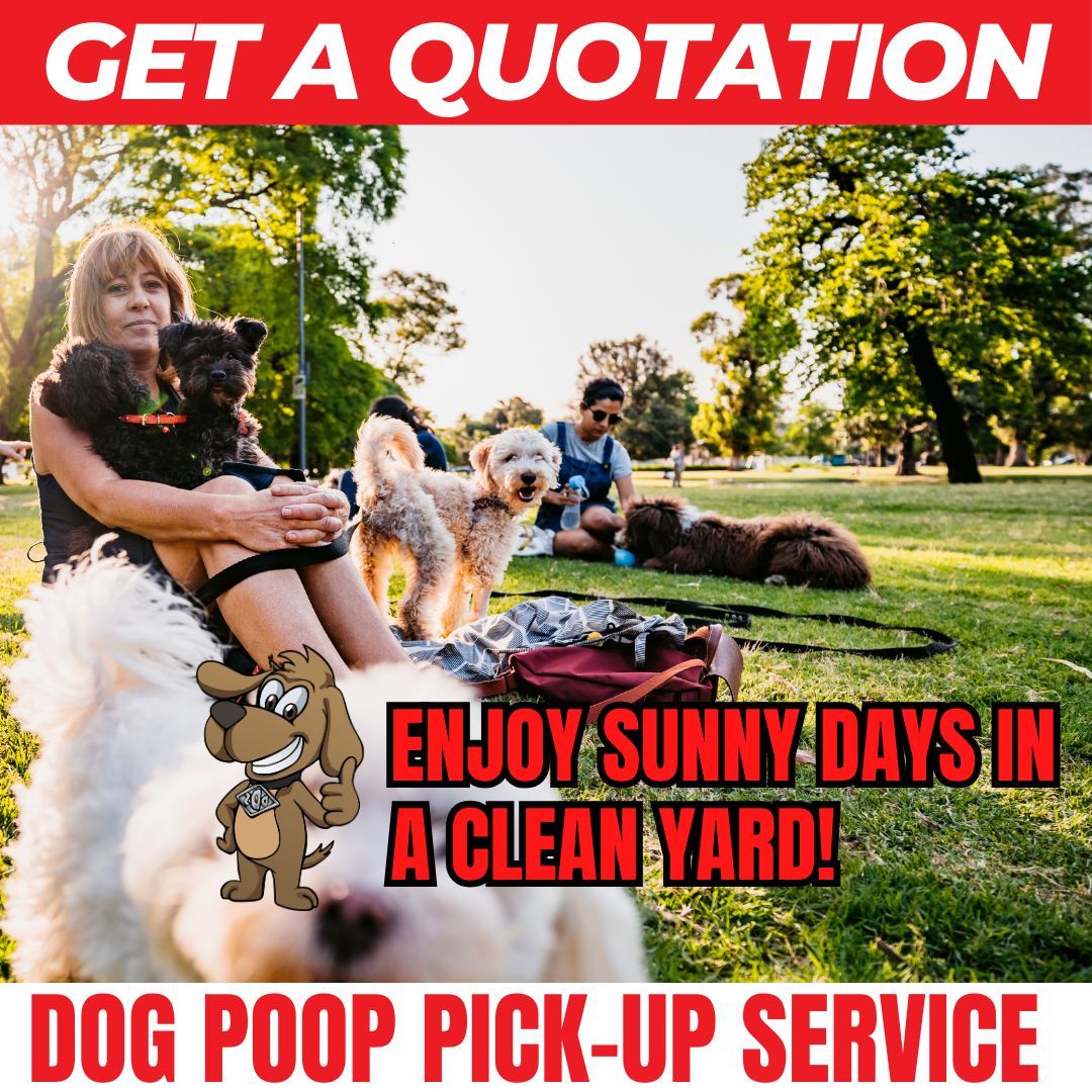 DooDooSquads's tweet photo. Make the most of the beautiful weather in El Dorado Hills with a clean and poop-free yard! ☀️ Doo Doo Squad is here to help dog owners enjoy their outdoor spaces to the fullest. 

https://t.co/Y4Djwwc6Nq 

#WeScoopDogPoop #GreaterSacramento #DogCleaners #EldoradoHillsCA https://t.co/qleWO4AMYh
