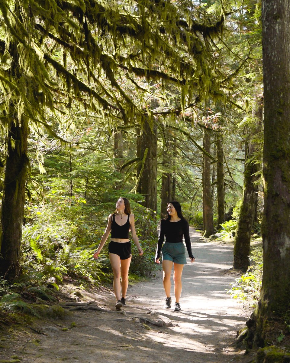 YourMapleRidge's tweet photo. Maple Ridge in spring = cherry blossoms, soggy shoes & โitโs shorts weatherโ lies ๐ธ๐ฃ
Spend the Easter weekend with your fave people, a sunny trail, and a pastry in hand ๐๐ฅ
#YourMapleRidge #EasterWeekend #SpringVibes https://t.co/sPQki9PS0a