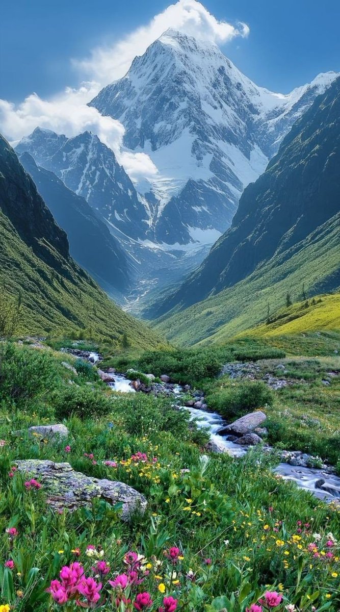 "كن عظيماً في عين نفسك ، حتى لا يكسرك شيئاً في هذه الحياة."
#life #WorldHealthDay #GoalOfTheDay