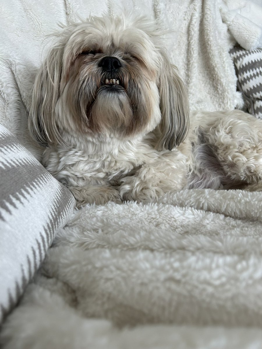 CalledBetty's tweet image. Not feeling my best today #sofaday hope everyone has a lovely Good Friday 🩷