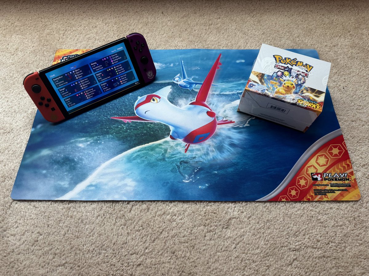 Slow Sunflower 🌻 tweet media