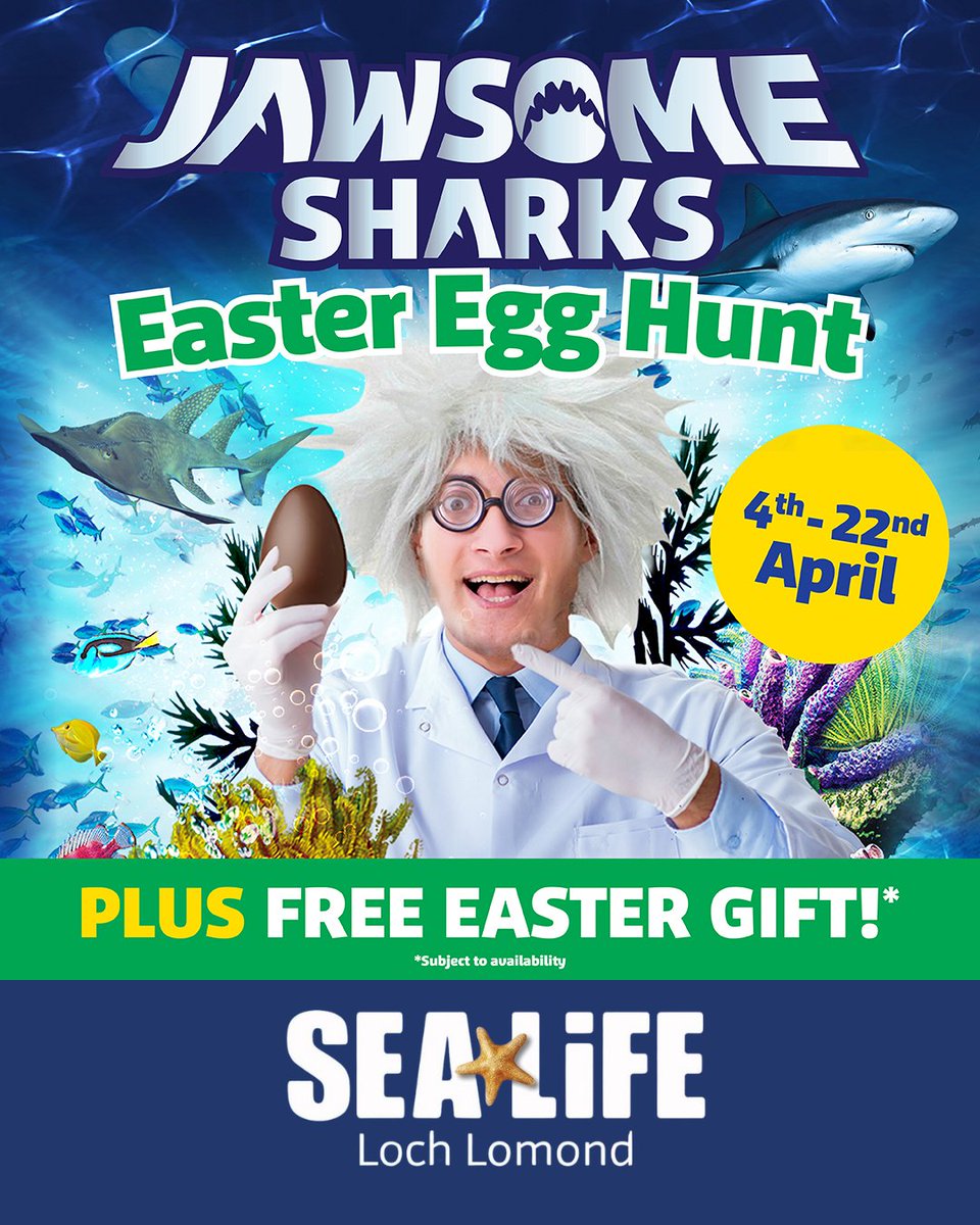 Love Loch Lomond tweet media