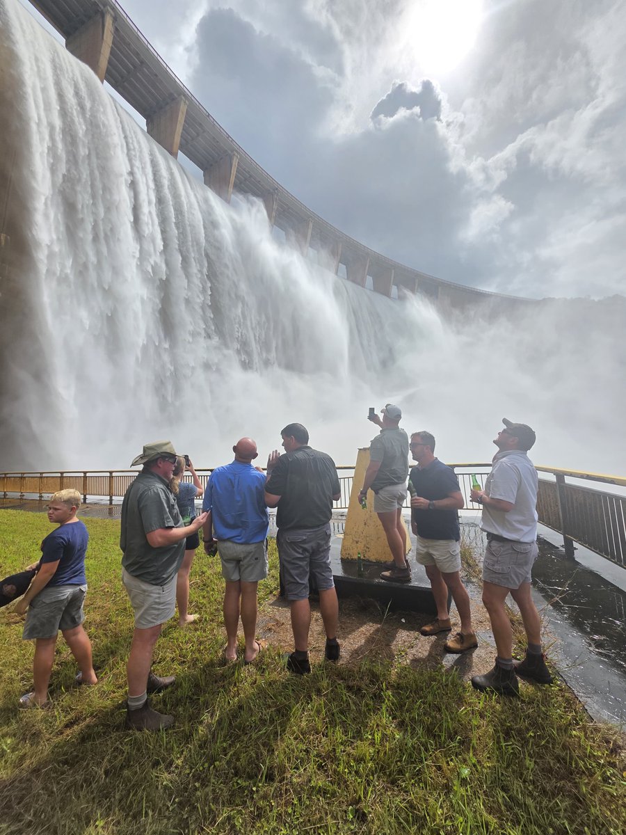 Lloyd Phillips tweet media