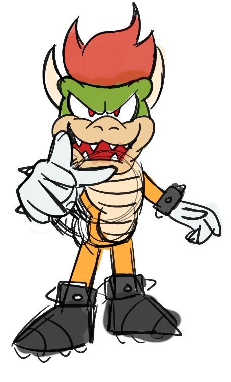 Bowser the Turtle