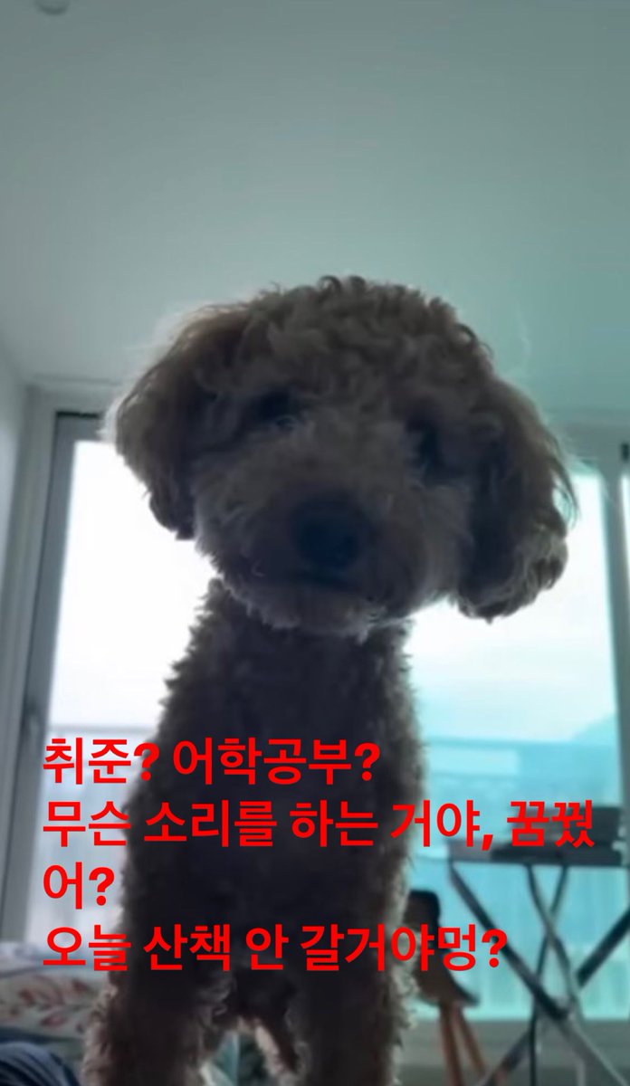 sssang111_'s tweet photo. https://t.co/b8MSk5pcsJ