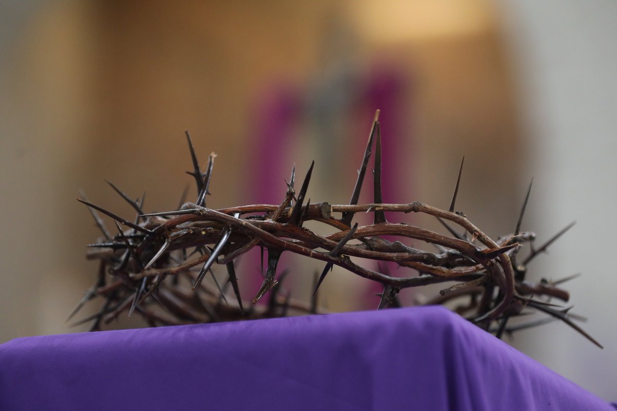DioceseOfScr's tweet photo. Please join us for the Good Friday Celebration of the Passion of the Lord at 12:15 p.m. from the Cathedral of Saint Peter at: https://t.co/3rhKQ7rjXu

Download the worship guide at: https://t.co/tSpdY2okql https://t.co/sbITZ3oMSy