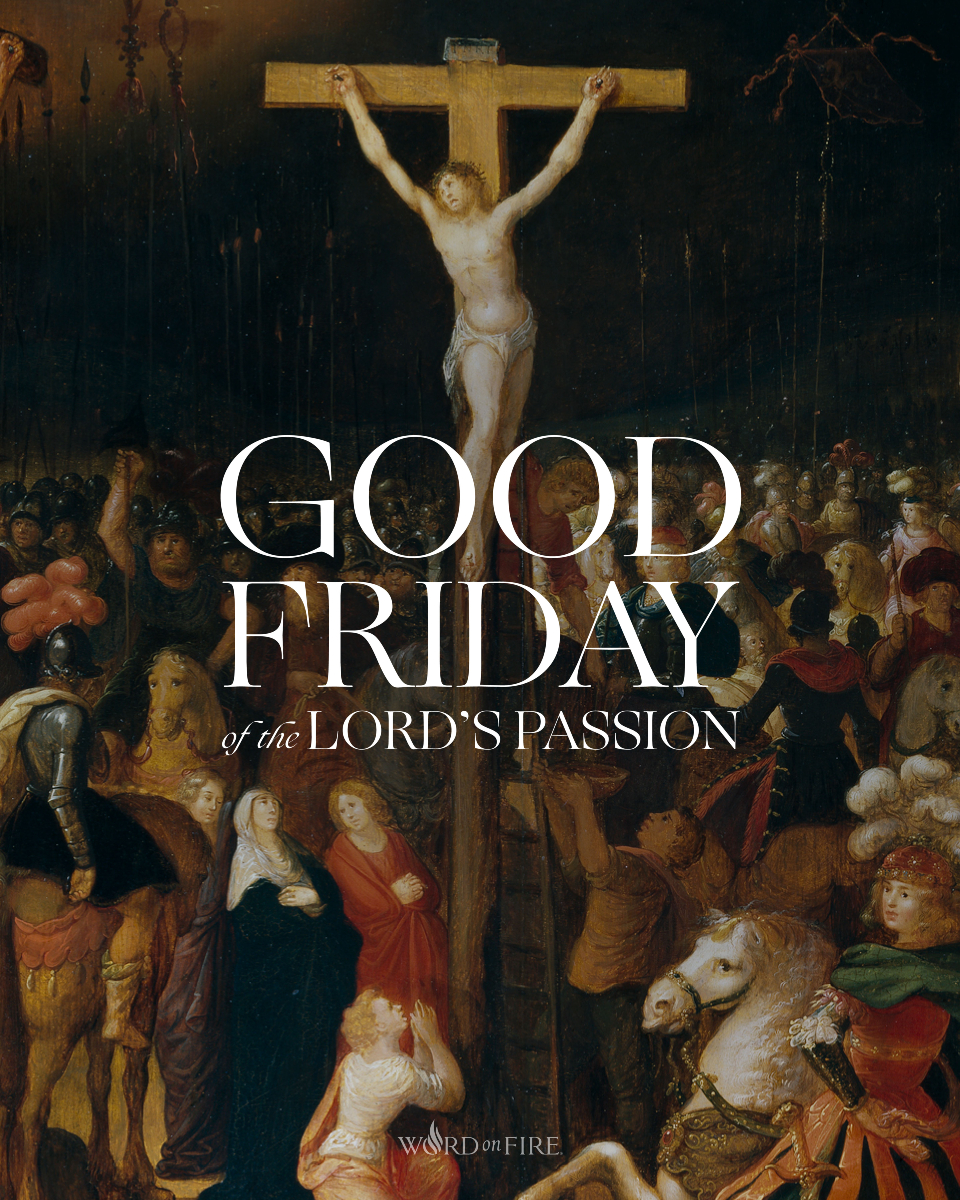 BishopBarron's tweet photo. Friends, the cross—painful, humiliating, and dehumanizing—terrified the ancient world. 

Today, on Good Friday, we see in the cross of Christ not the ultimate defeat but the ultimate victory over the powers of sin and death. https://t.co/vt7po4co7T