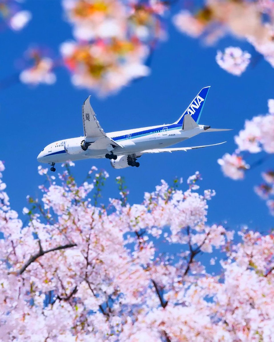 飛行機写真貼り付け本。 飛行機写真貼り付け本。 Yutaka✈ on X:
