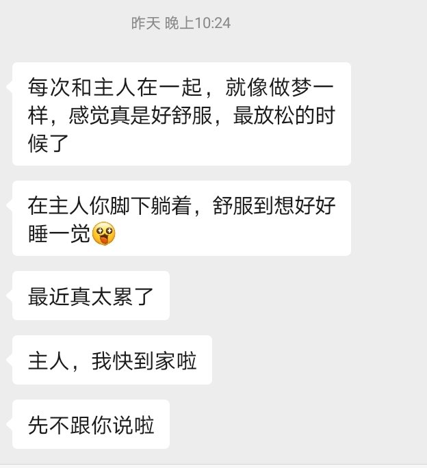 KouLuo_SS's tweet photo. 每次见面后都会叽里咕噜 https://t.co/l58Zs1XJRD