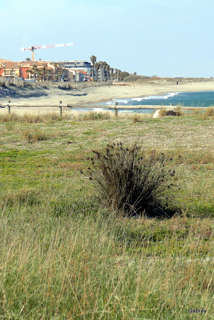Promenade à Sainte Marie la Mer (2)
Les travaux à Sainte Marie sont, je pense, finis pour cette année .
La promenade et la place semblent terminées pour le moment !
C'est le calme avant l'arrivée prochaine des nombreux estivants !