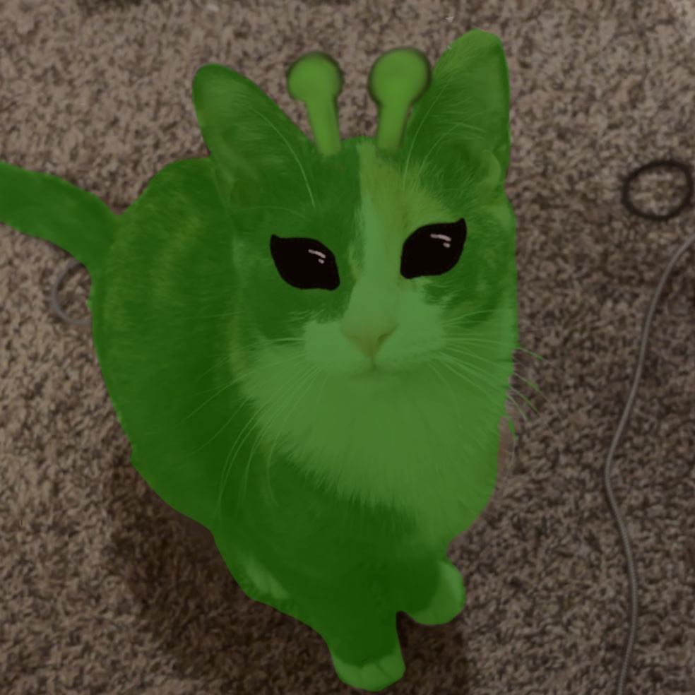 Chica_chingus's tweet image. Meow 👽