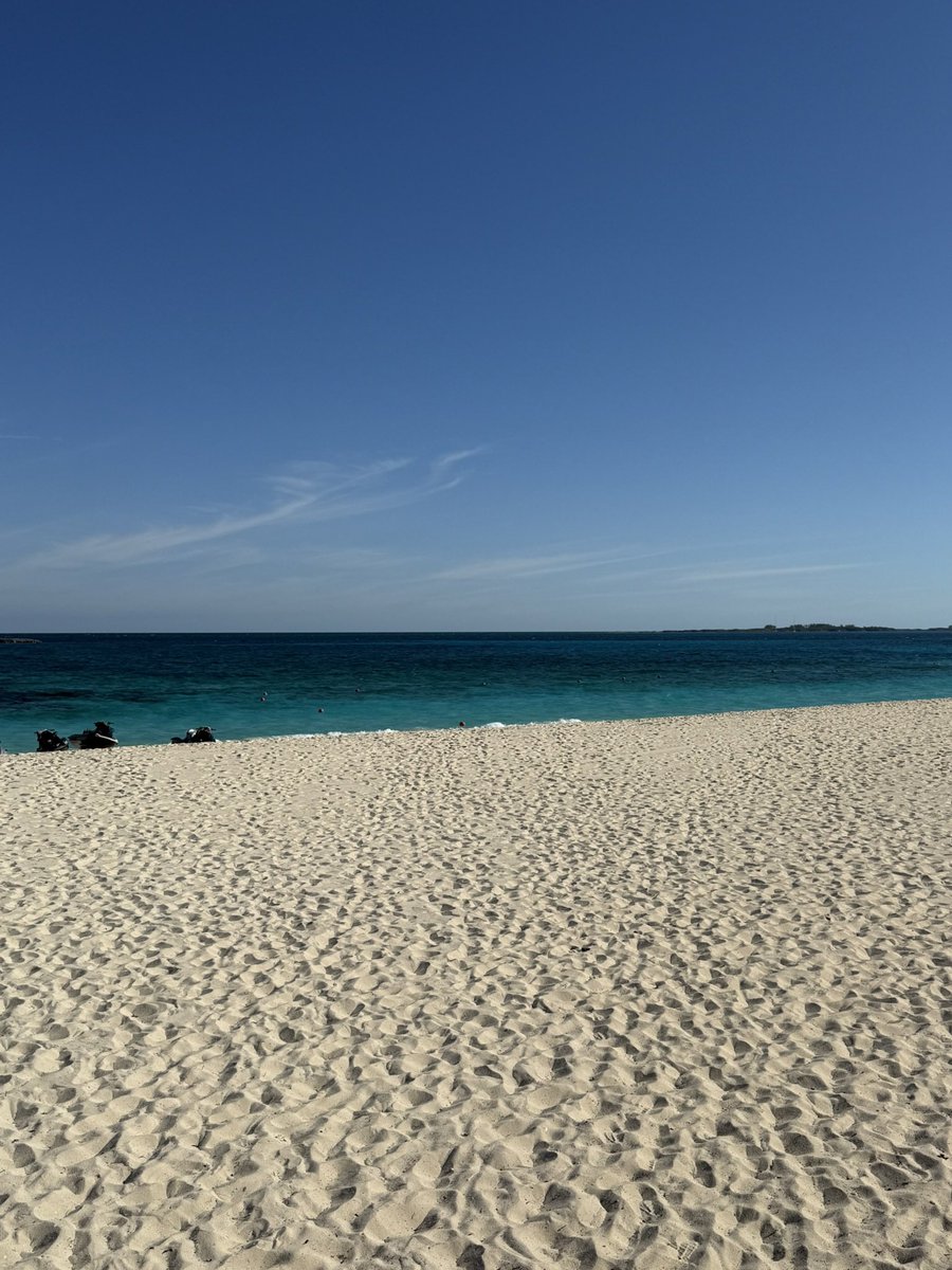 bellacatsu's tweet photo. @meowsevy 2 months ago I was relaxing on an island, was too busy to think about some coke whore. https://t.co/2OiDao1Fpc