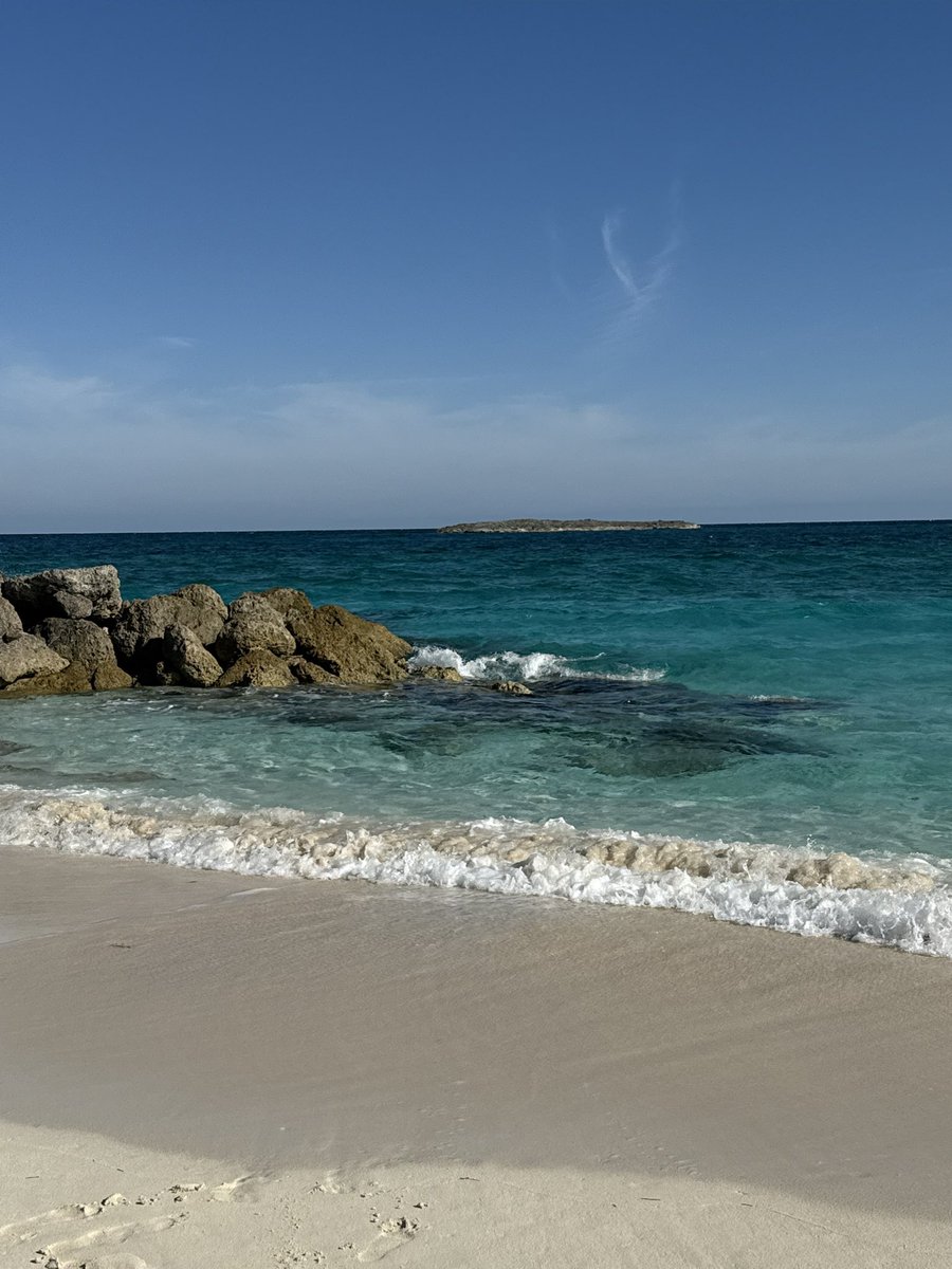 bellacatsu's tweet photo. @meowsevy 2 months ago I was relaxing on an island, was too busy to think about some coke whore. https://t.co/2OiDao1Fpc