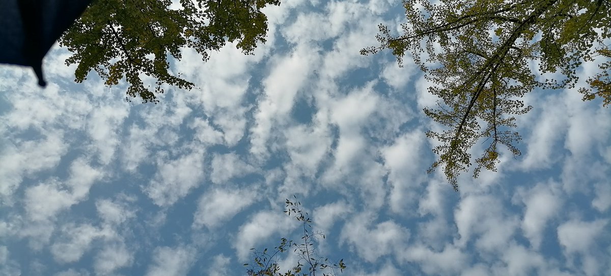 破烂相机下的春天(旧存货)