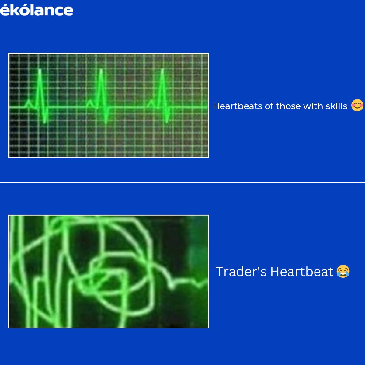 EKOLANCE tweet media