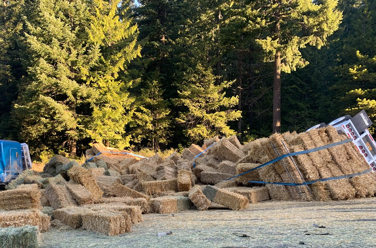 #pdxtraffic This will take a while.