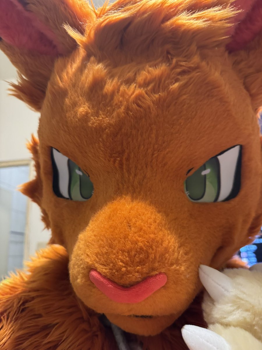 想跟大家拉近距離
任何問題都會回答
#fursuit
#FursuitFriday