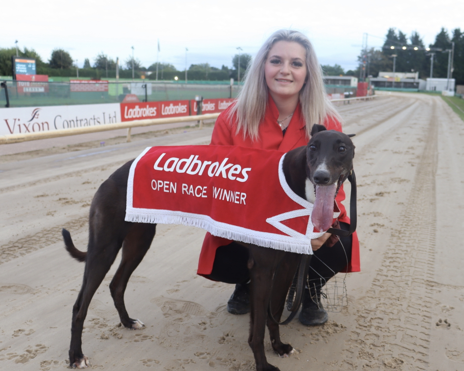 The greyhound of dreams 😍

#SunderlandDogs 🐾