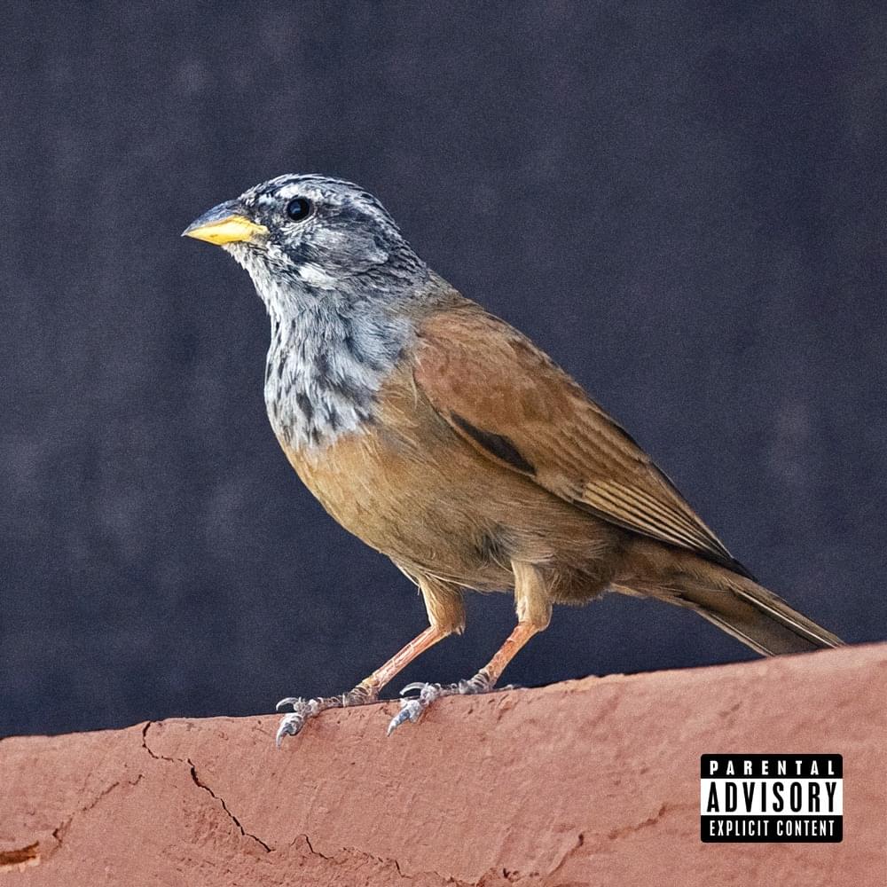 boiisagunn's tweet photo. I wonder if this bird knows the impact it had on the world https://t.co/v5sLr1Y8W2
