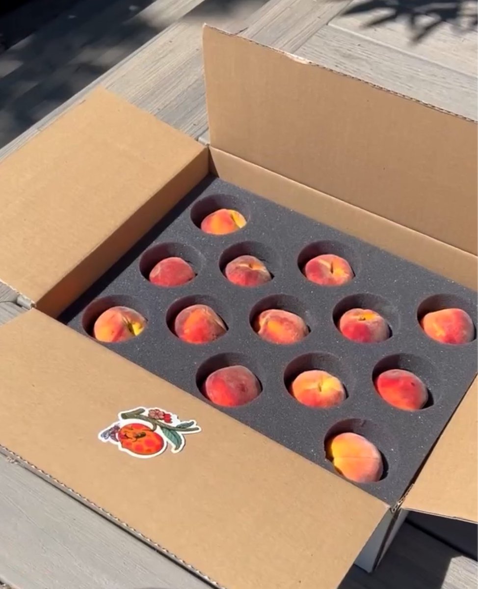 PΞACH TYCOON tweet media