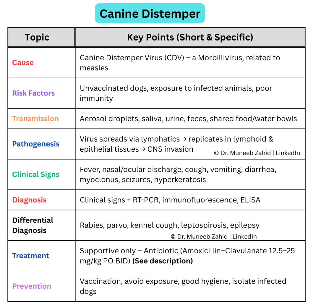 📑 Canine Distemper 🐶 Revise your knowledge 🩺