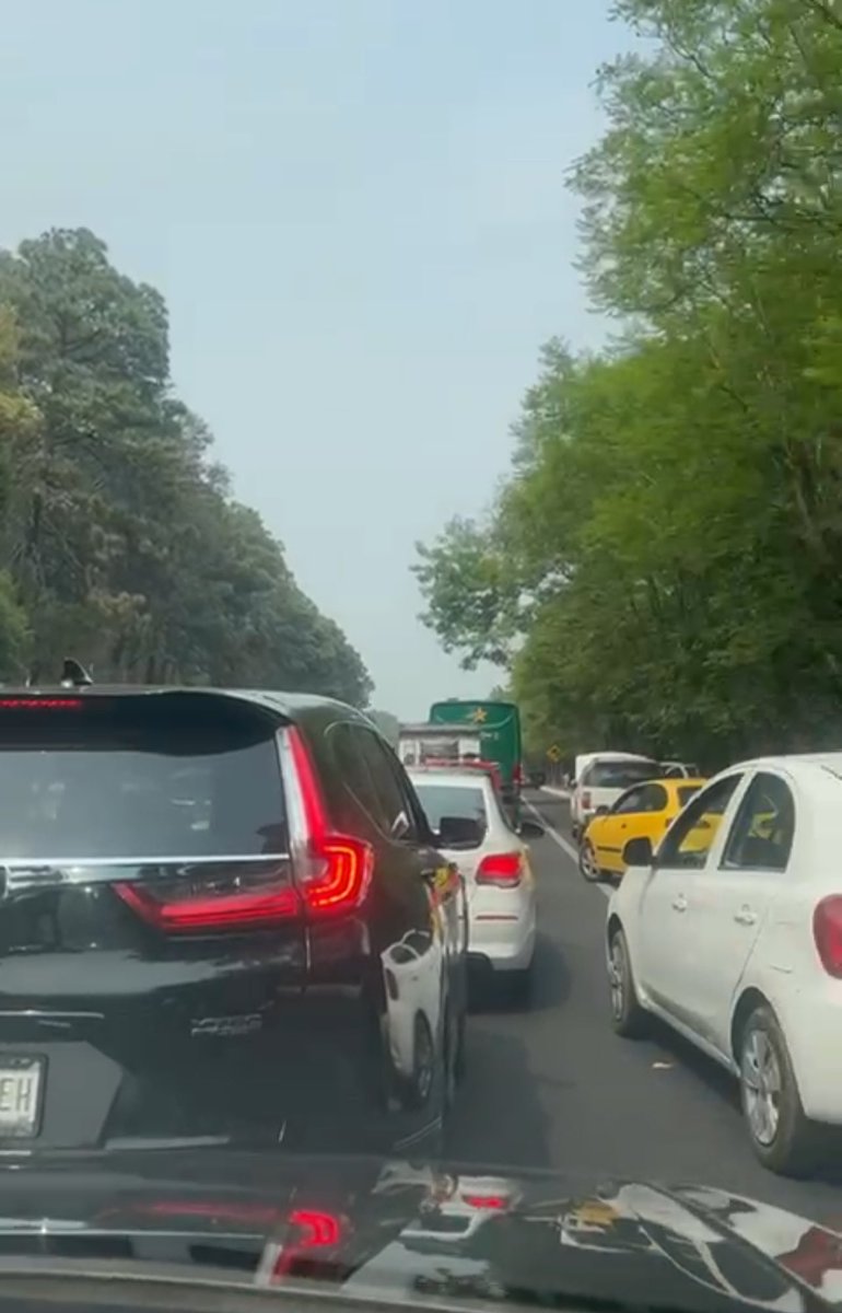 MeggieSalgado's tweet photo. Urge tren ligero u otra estrategia para evitar el colapso que se hace cada fin de semana en la carretera #MéxicoCuernavaca Sería un gran detonante de desarrollo para #Morelos y #Guerrero Trabajemos en esto desde los distintos espacios para hacerlo realidad priorizando el cuidado de nuestro bosque 🌳🌲