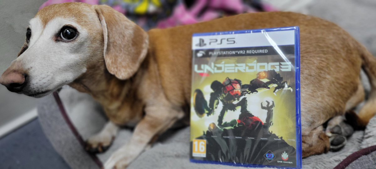 BrewPounder (@brewpounder) on Twitter photo Look what came in from His Royal Mail from our #PSVR2 physical defenders <a href="/PerpGames/">Perp Games | Finding Frankie | Out April 15th! 🎮</a>!
Thank y'all mates kindly for the physical of UNDERDOGS!
Lola appreciates y'all planting a tree for every copy sold, so y'all should buy a copy. Look what came in from His Royal Mail from our #PSVR2 physical defenders <a href="/PerpGames/">Perp Games | Finding Frankie | Out April 15th! 🎮</a>!
Thank y'all mates kindly for the physical of UNDERDOGS!
Lola appreciates y'all planting a tree for every copy sold, so y'all should buy a copy.