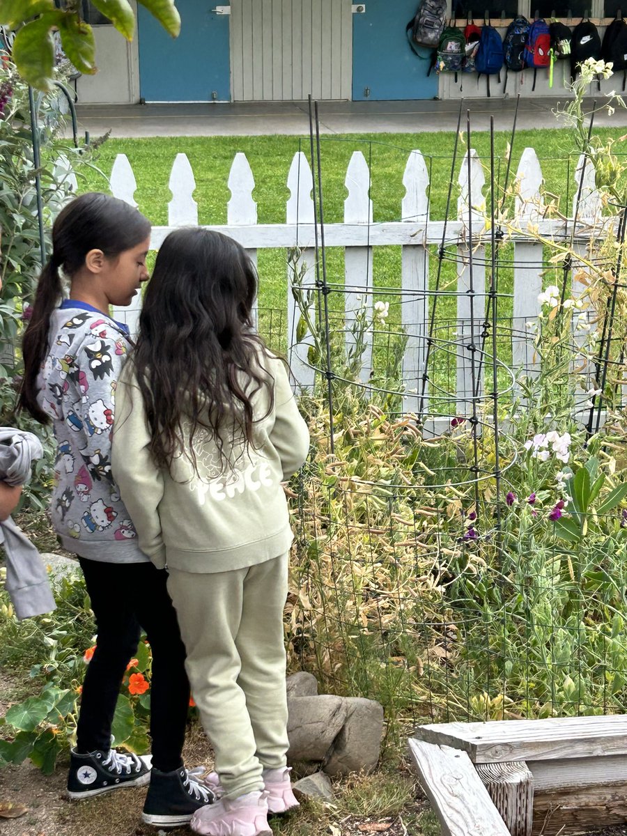 Woodcrest Elementary School (@woodcrestfsd) on Twitter photo Woodcrest students planting vegetables and growing food to use later through their garden education. <a href="/FullertonSD/">Fullerton S.D.</a> Woodcrest students planting vegetables and growing food to use later through their garden education. <a href="/FullertonSD/">Fullerton S.D.</a>