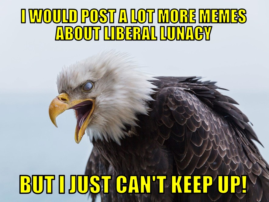 HasBenAgain's tweet image. 