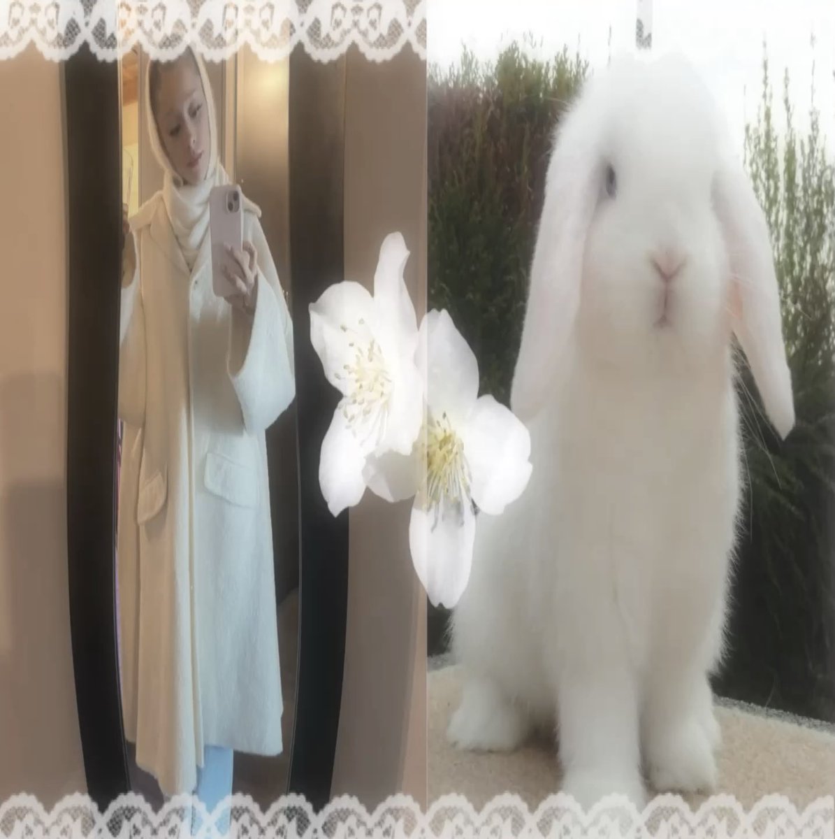 h (@xgalindaupland) on Twitter photo 