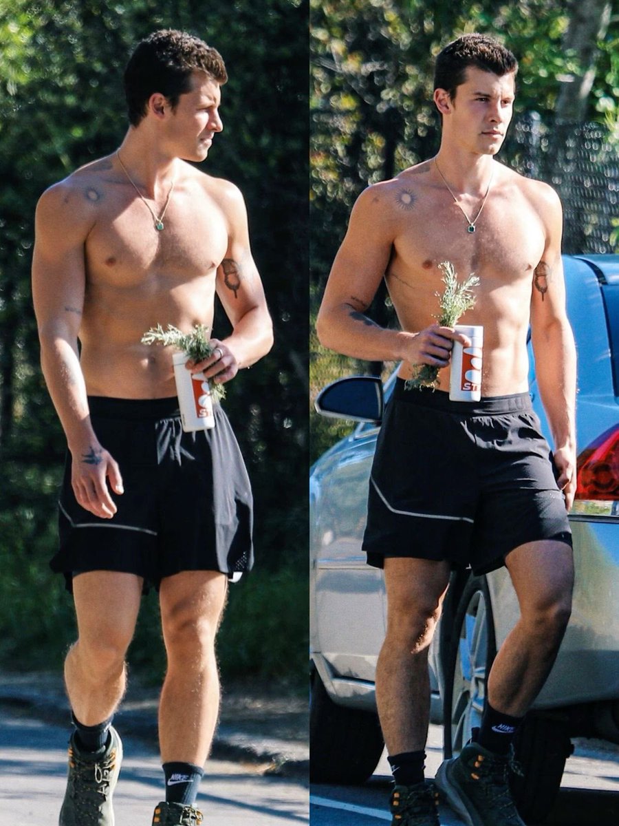shawn mendes