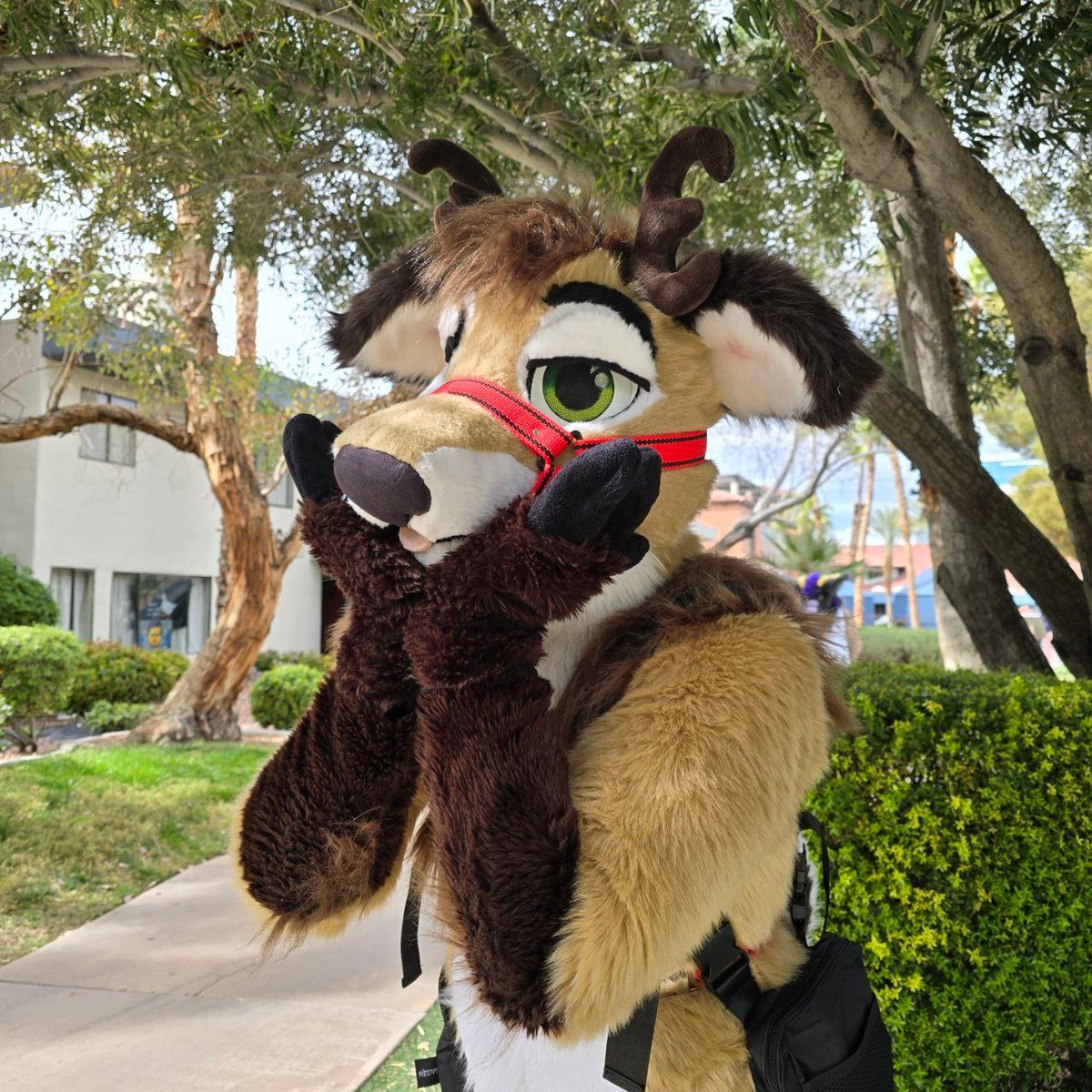 Obligatory #LVFC2025 #LVFC  Roll call post 
Do you find yourself next to a deer?~ 

✅ Hugs
✅ Photos/Videos
✅ Gropes (Ask first! It'll likely be a yes :3)
✅ Lewd time with deer in your bed (flirt with me, and you may be in luck 👀)

I would Love to chat and hang out 💚
