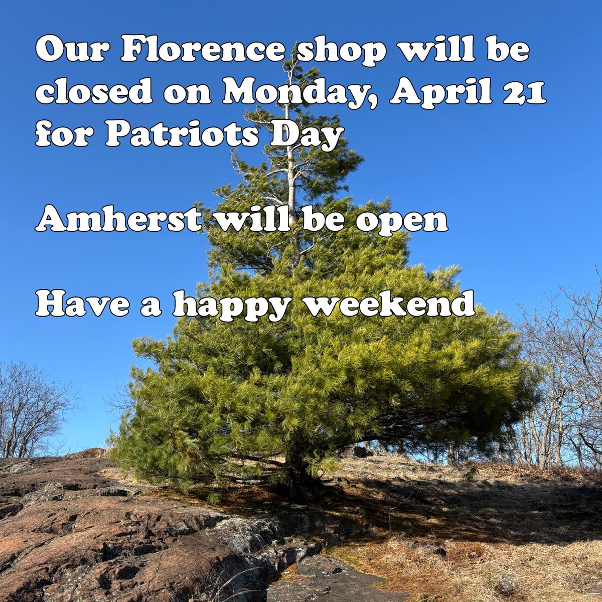 Collective Copies tweet media