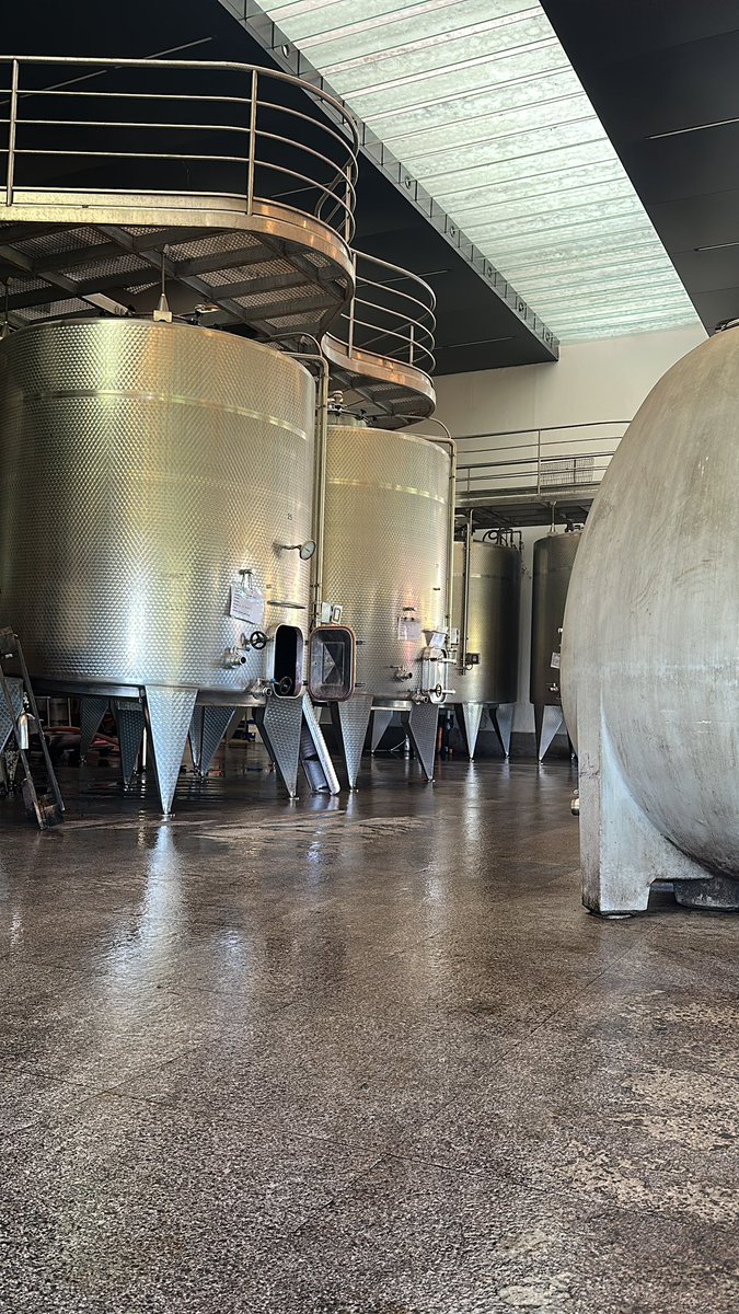 Poco más y comienzo a hablar con los tanques🥴