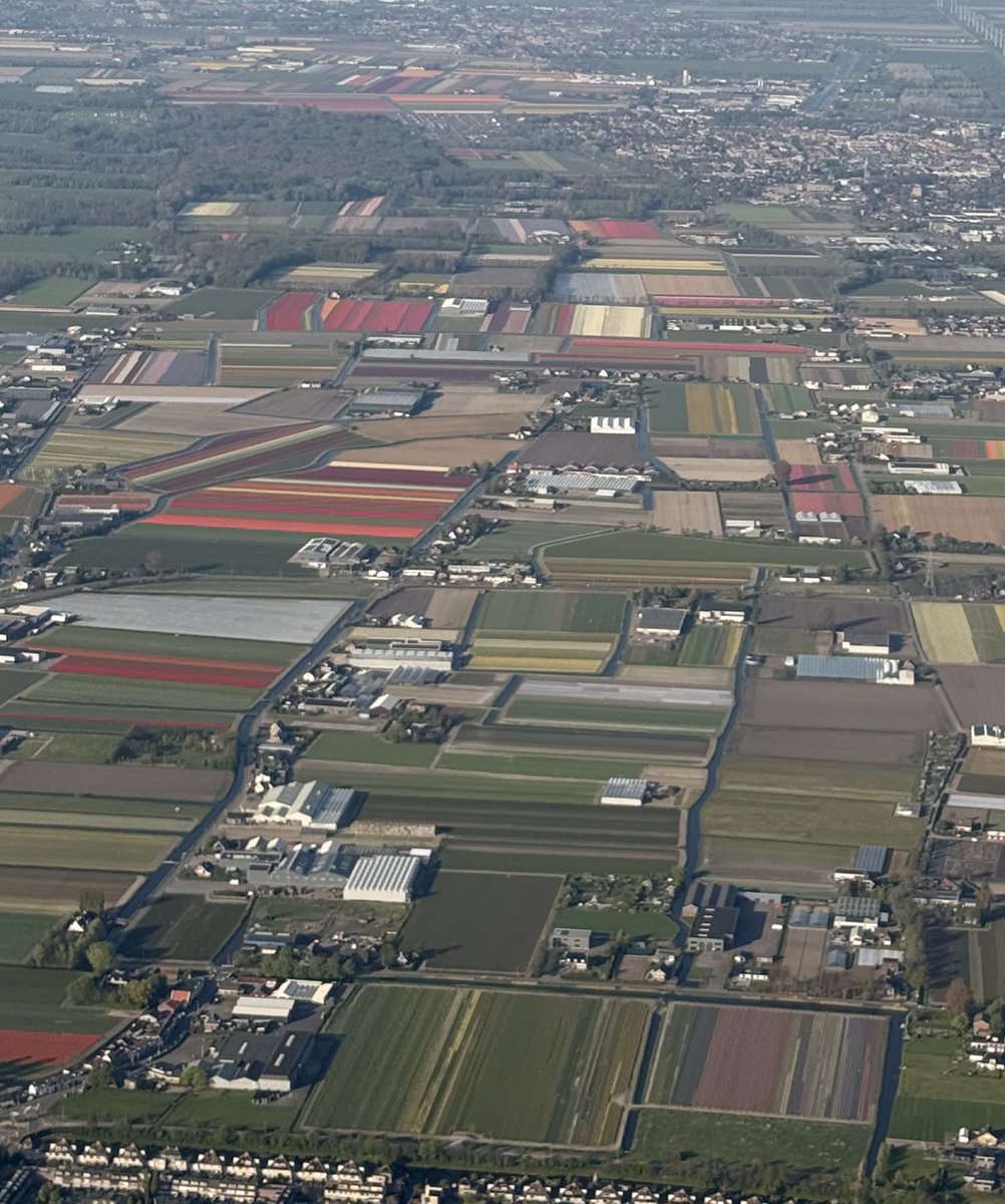 Landing in Amsterdam be looking like a <a href="/GrantYun2/">Grant</a> 1/1 - the colour palette 👀
