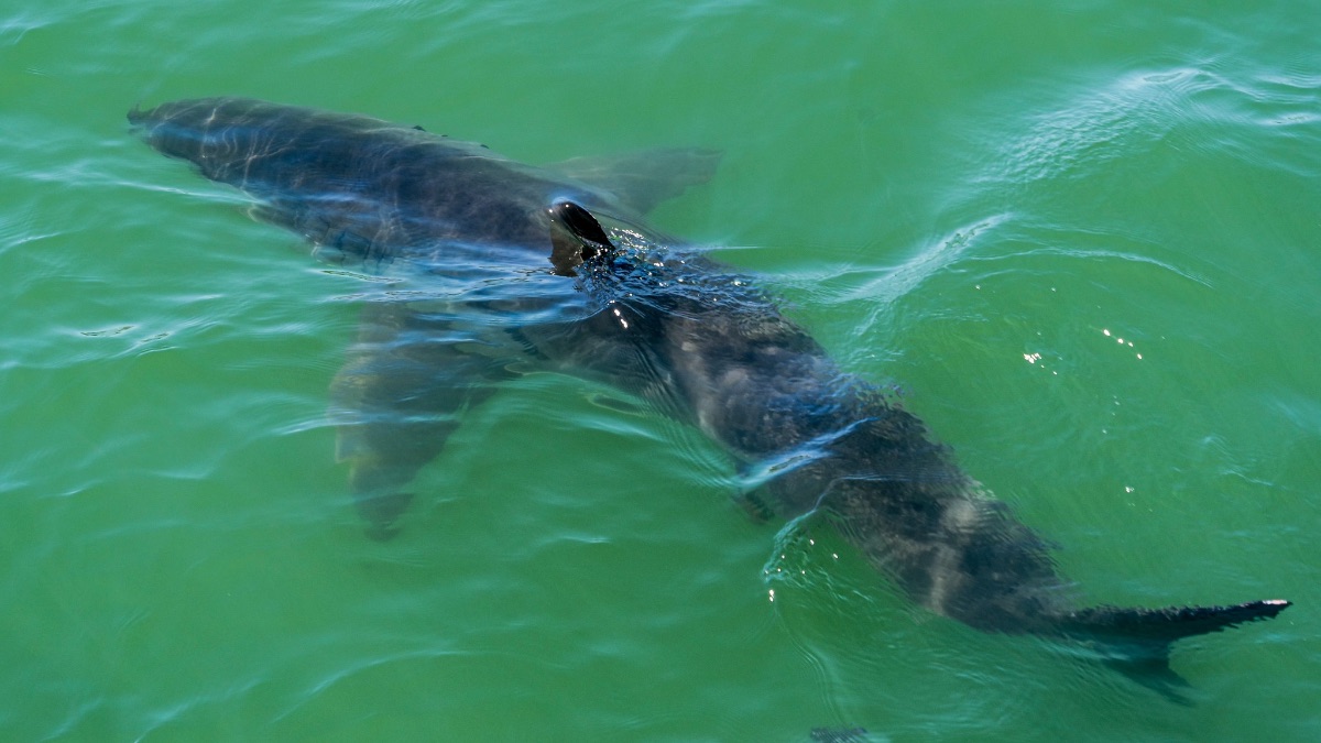 🥁🥁🥁 And the Winners are... - mailchi.mp/eventsantacruz…