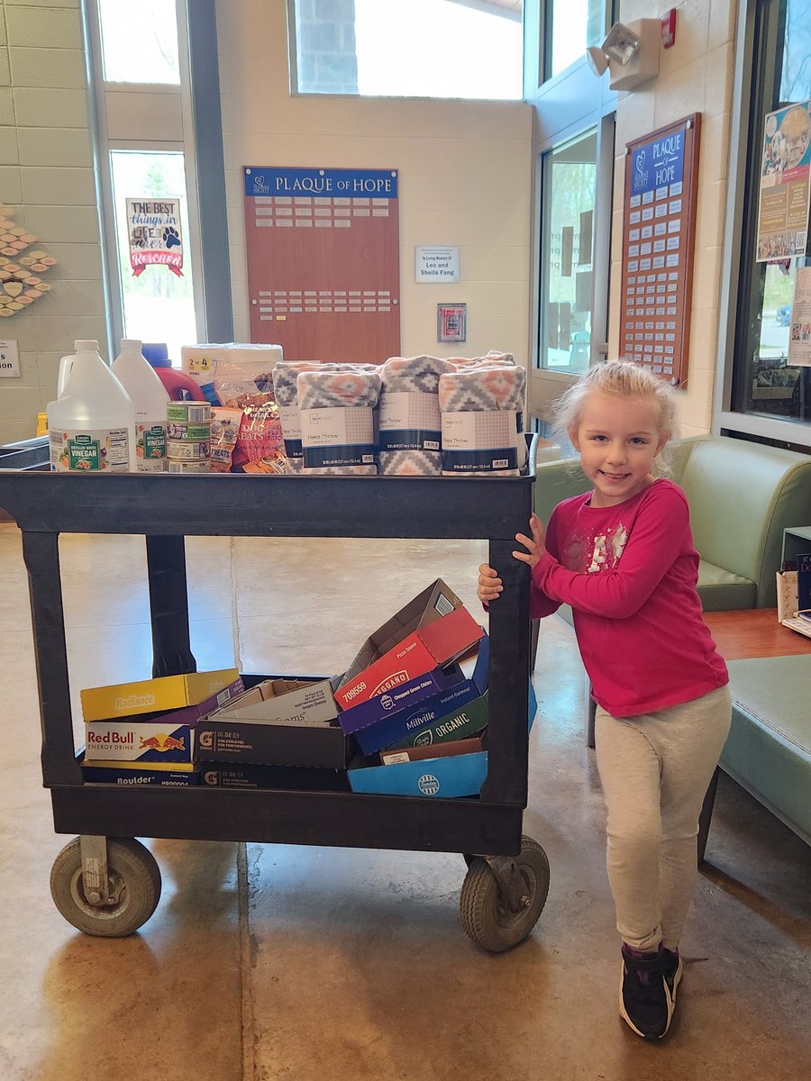 🌟 A huge round of ap-paws for sweet Tessa! 🐾💖

This amazing young animal lover collected a cart full of much-needed supplies for our Patriot Program through her school, Youth’s Benefit Elementary — and we are SO grateful! 🏫🎁🐶🐱