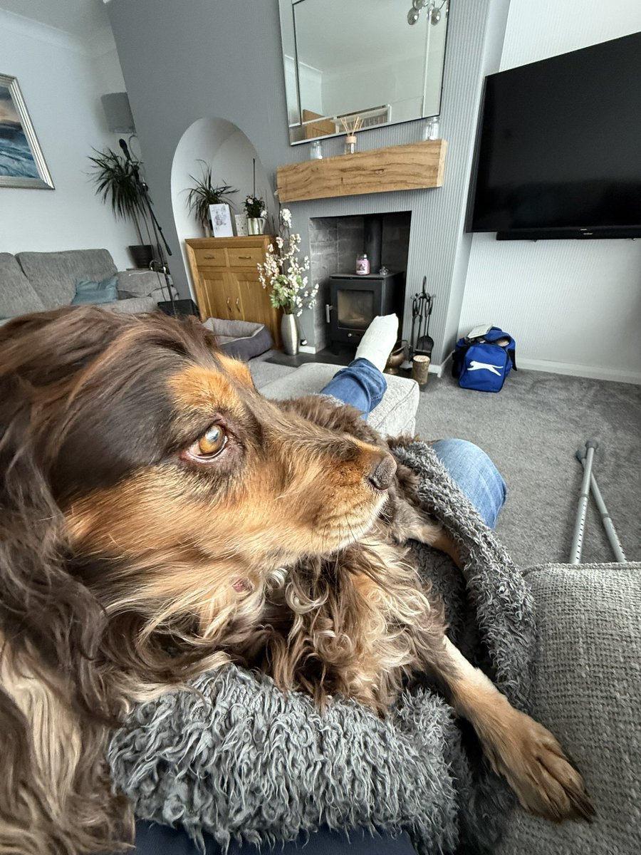 Hannah Ayres tweet media