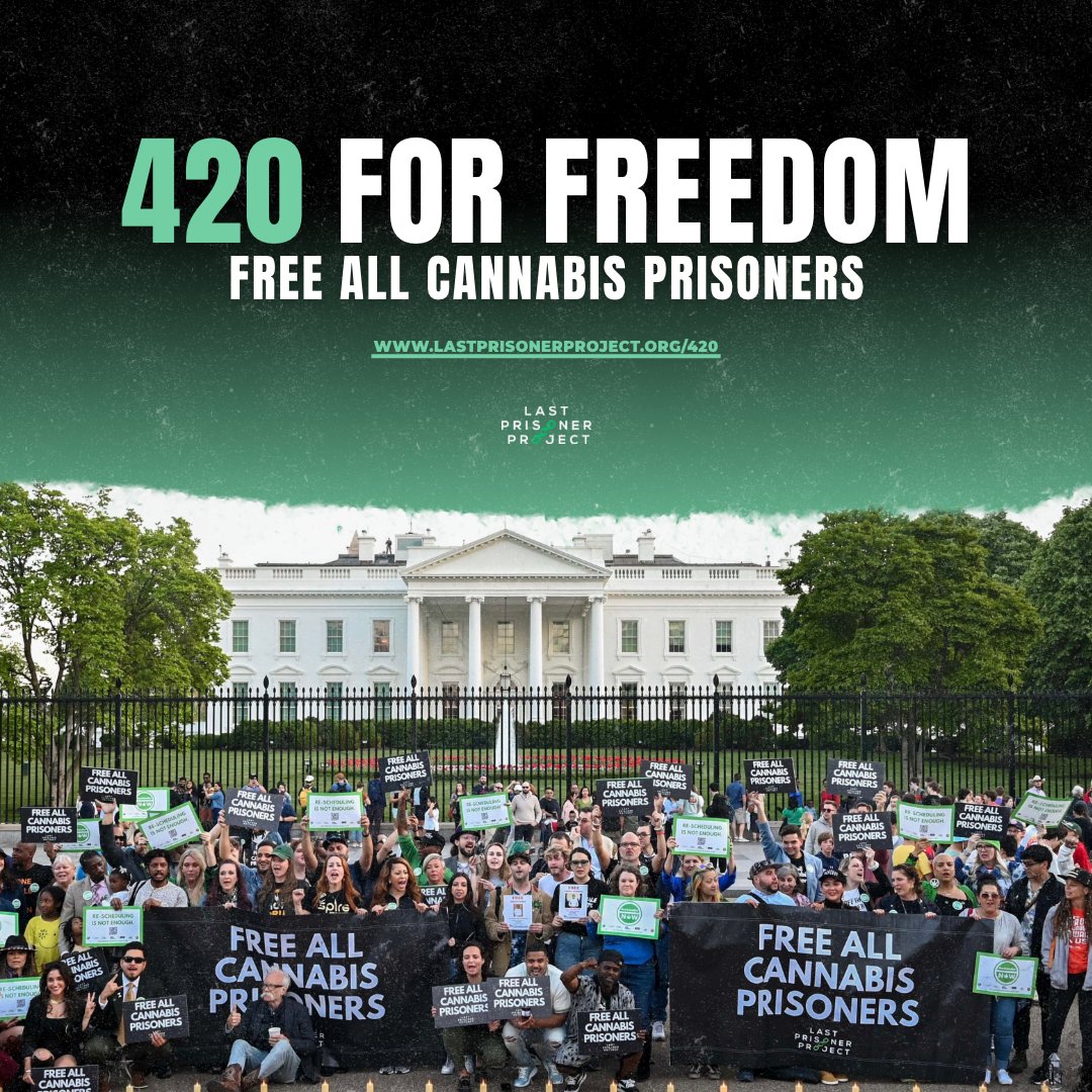 DannyDanko's tweet photo. We at @lastprisonerprj encourage you on this #420ForFreedom to read, act, and share to amplify the impact of our 4/20 advocacy efforts🤝 https://t.co/gVDdCCLFWK https://t.co/KKvBGjyGCu