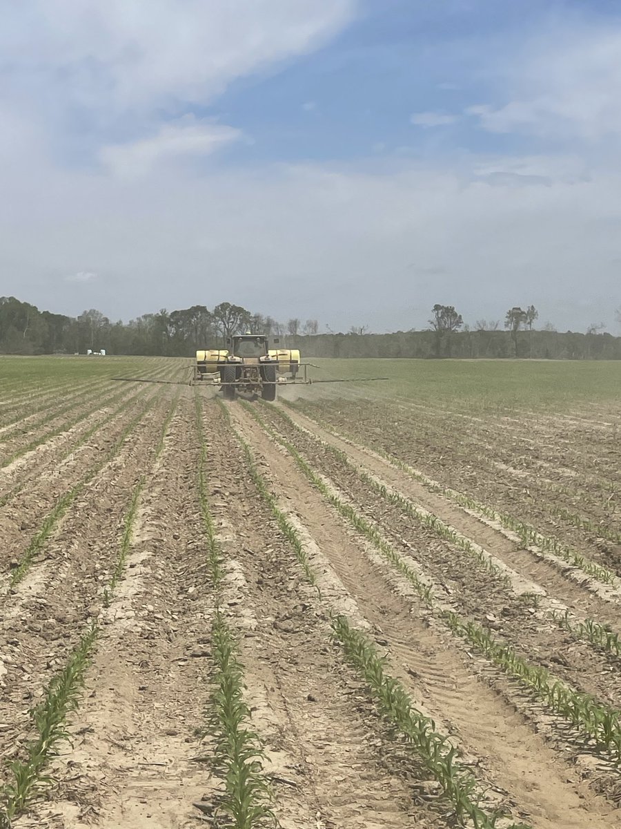 Herbert Miller tweet media