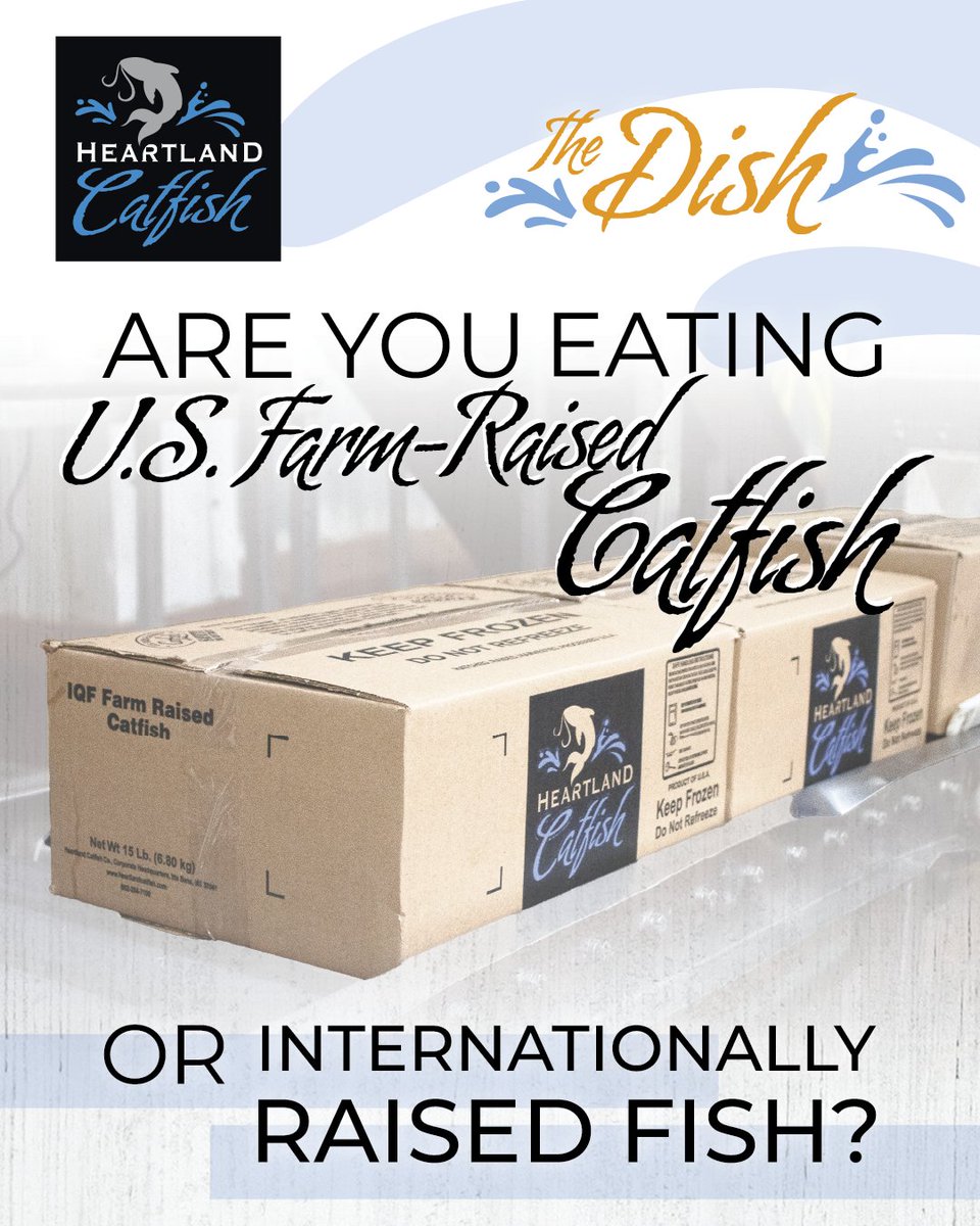 Are you eating U.S. farm-raised catfish or internationally raised fish? We’re dishing out the facts in our latest blog! Learn how to spot the difference and make informed choices about what you are purchasing. 
heartlandcatfish.com/are-you-eating…

#TheDish #HeartlandCatfish #Blog