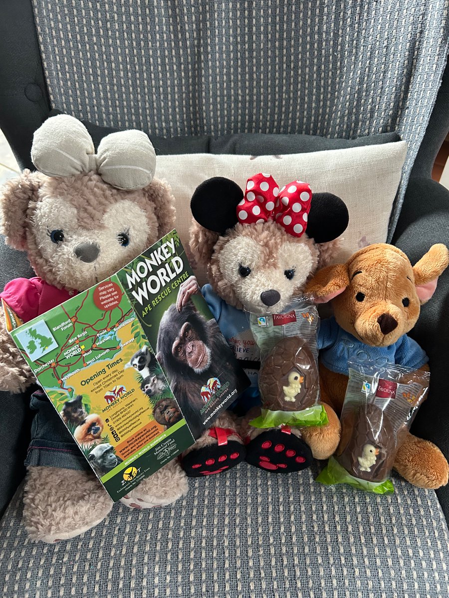 As its Big Shellie’s birthday tomorrow, she’s gone away to Dorset with Little Shellie and Roo. They're looking forward to seeing all of our friends at <a href="/MWApeRescue/">Monkey World Dorset</a> . I think the little ones are egg-cited 😜 about the Easter Eggs that they’ve found in the cottage
🦧🐒