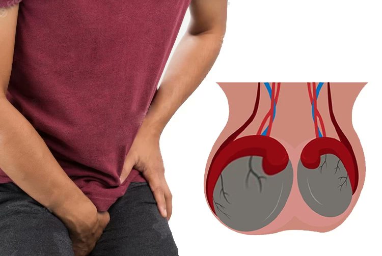 90 ٪ من الرجال يجهلون صحة الخصيتين.

لكن صحة الخصيتين تؤثر على كل شيء:

• الخصوبة
• الهرمونات
• خطر الإصابة بالسرطان 

إليك ما يحتاج كل رجل معرفته ( وكيفية حماية نفسك طبيعيًا ):