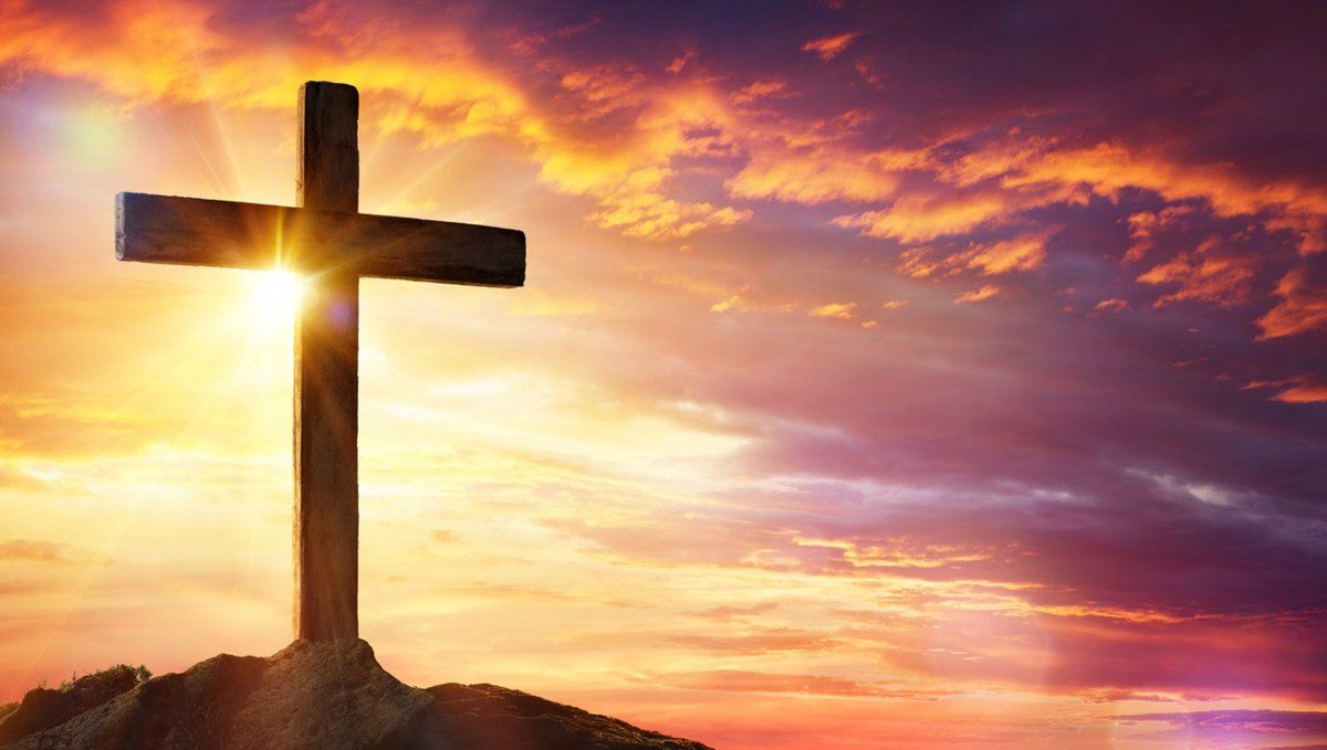 The Babylon Bee tweet media