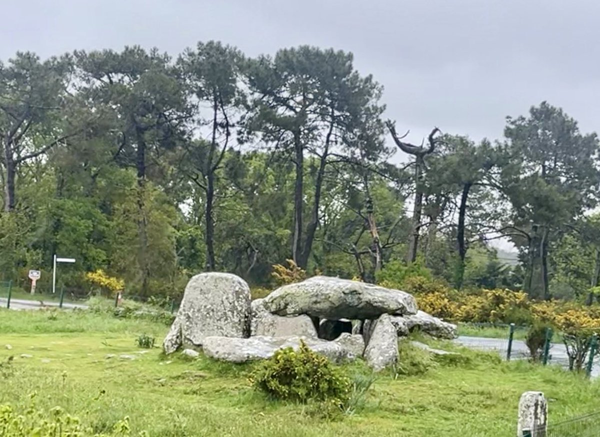 CaliFrenchlife's tweet photo. Carnac #Bretagne https://t.co/RErdz0DjJm