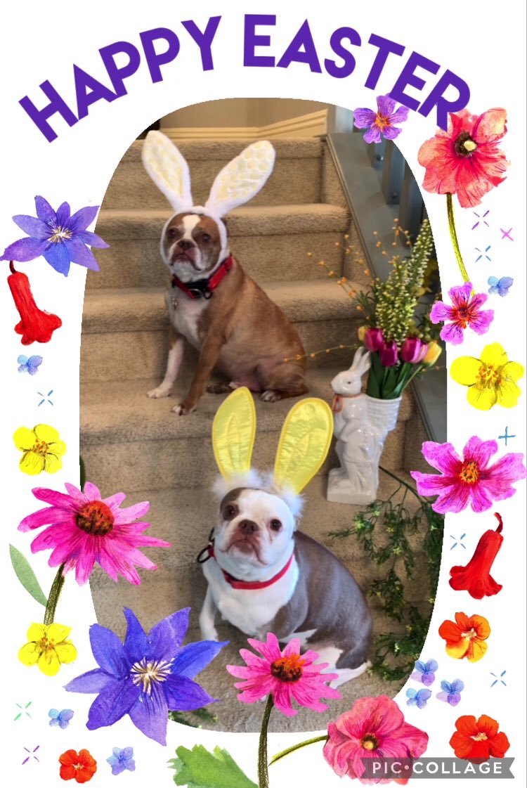 Ross Hodgson tweet media